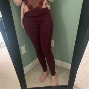 Express Suede Contour Fit Leggings